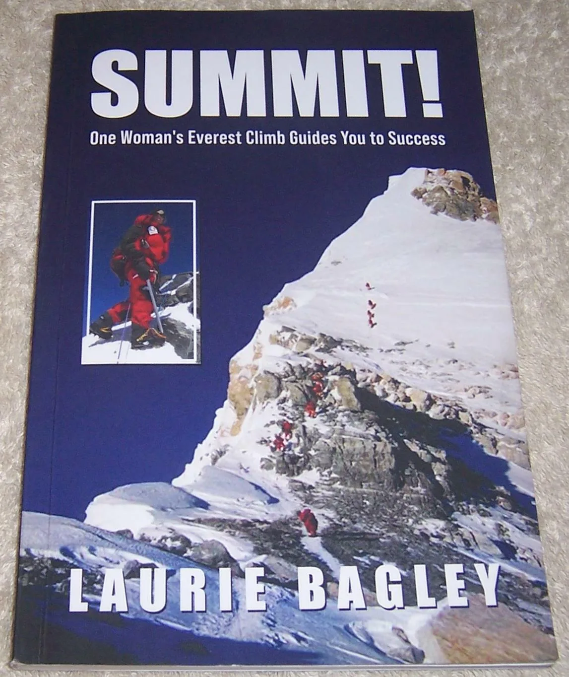 Summit! One Woman's Mount Everest Climb Guides You to Success