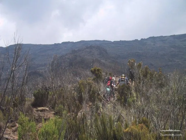Movin' on up to Shira Hut