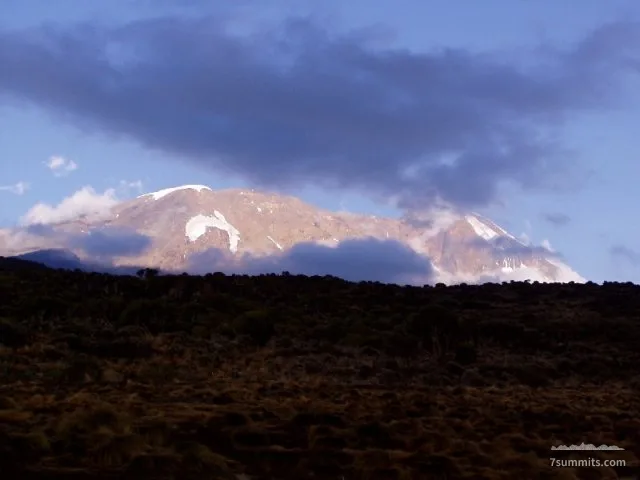 The upper slopes of Kili from Shira Hut