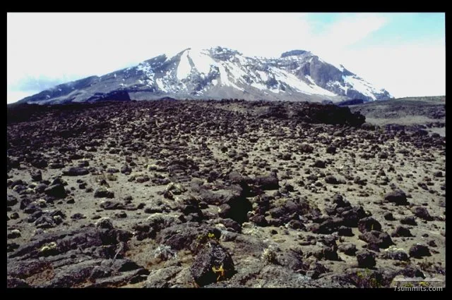 At 4200 meter we see Kilimanjaro's highest crater, Kibo. The ground has a few alpine plants.