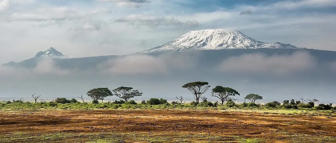 Snow-capped Mount Kilimanjaro rising above clouds and savanna trees