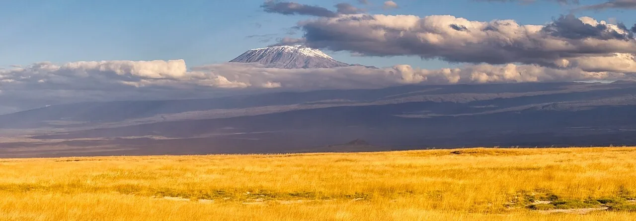 Mount Kilimanjaro's snow-capped peak seen above clouds, with golden grassland in foreground