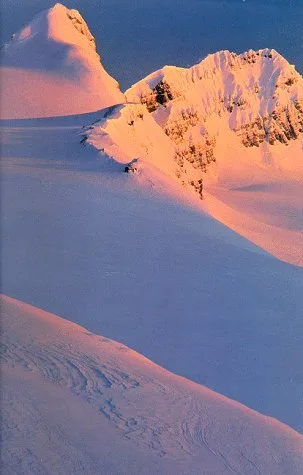 Majestic Splendor